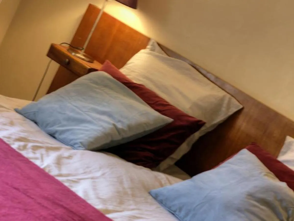 Ferienhaus Gite Historique Au Coeur Du Parc Du Pilat - 14 Pers, 3 Ch, 3 Sdb, Wifi, Jardin, Animaux Acceptes - Fr-1-496-136 Sainte-Croix-en-Jarez